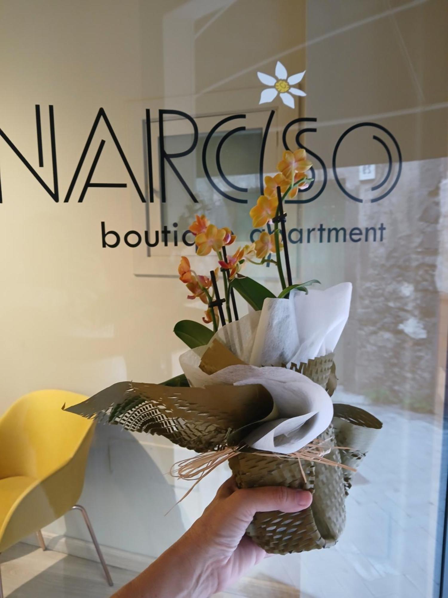 Narciso Boutique Apartment Ачиреале Экстерьер фото